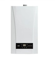   Baxi Eco Nova 31F (  )